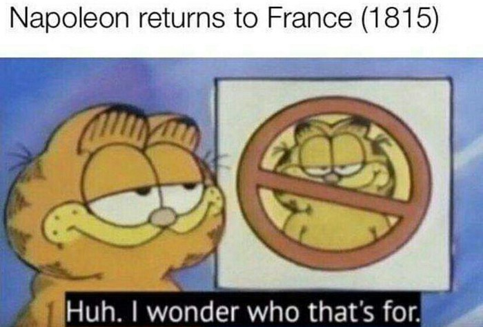 Napoleon returns to France - Story, Napoleon, France, Memes