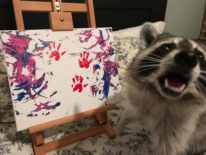 Artist - Raccoon, Animals, Artist, Canvas, Paints, Pets