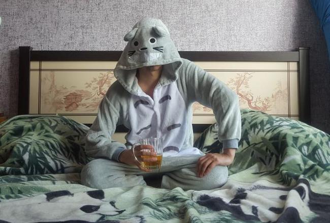 Drunkard - My, Totoro, Anime, Alcohol, Pajamas