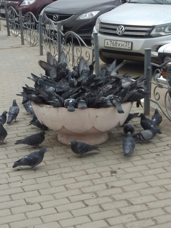 ��� ��� ���