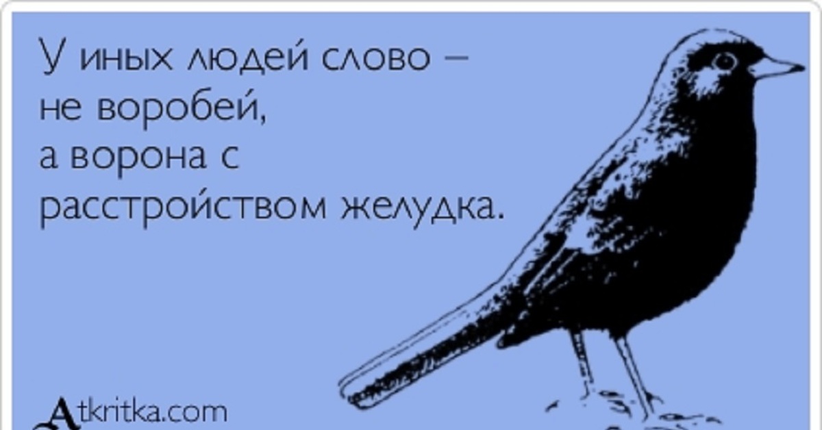 Мужчины как птицы умеют долго и красиво петь а потом нагадить и улететь картинки