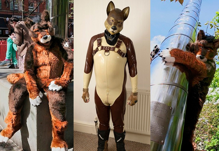 Англичанин в 37 лет решил стать собакой Собака, Да ну нафиг, Мир сошел с ума, Смена вида, Англия, Сперто, Длиннопост