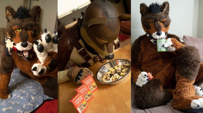 Англичанин в 37 лет решил стать собакой Собака, Да ну нафиг, Мир сошел с ума, Смена вида, Англия, Сперто, Длиннопост