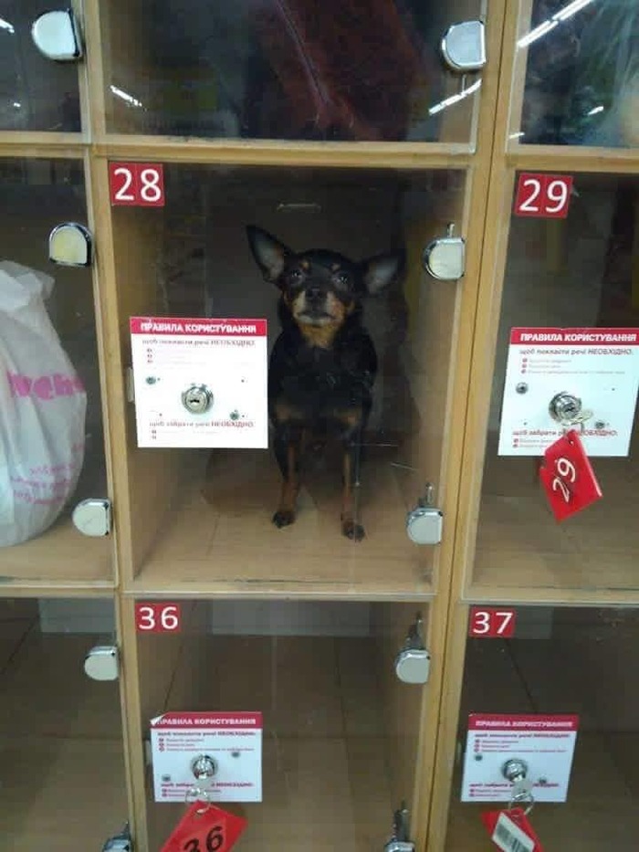 Правила против необходимости