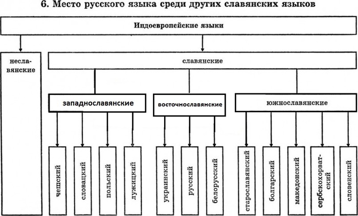 чем отличается филология и лингвистика. Смотреть фото чем отличается филология и лингвистика. Смотреть картинку чем отличается филология и лингвистика. Картинка про чем отличается филология и лингвистика. Фото чем отличается филология и лингвистика