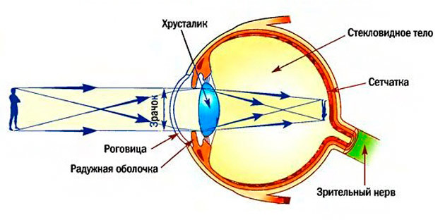 Самый тупой диалог в жизни - Моё, Интеллектуальный барьер, Оптика, Физика