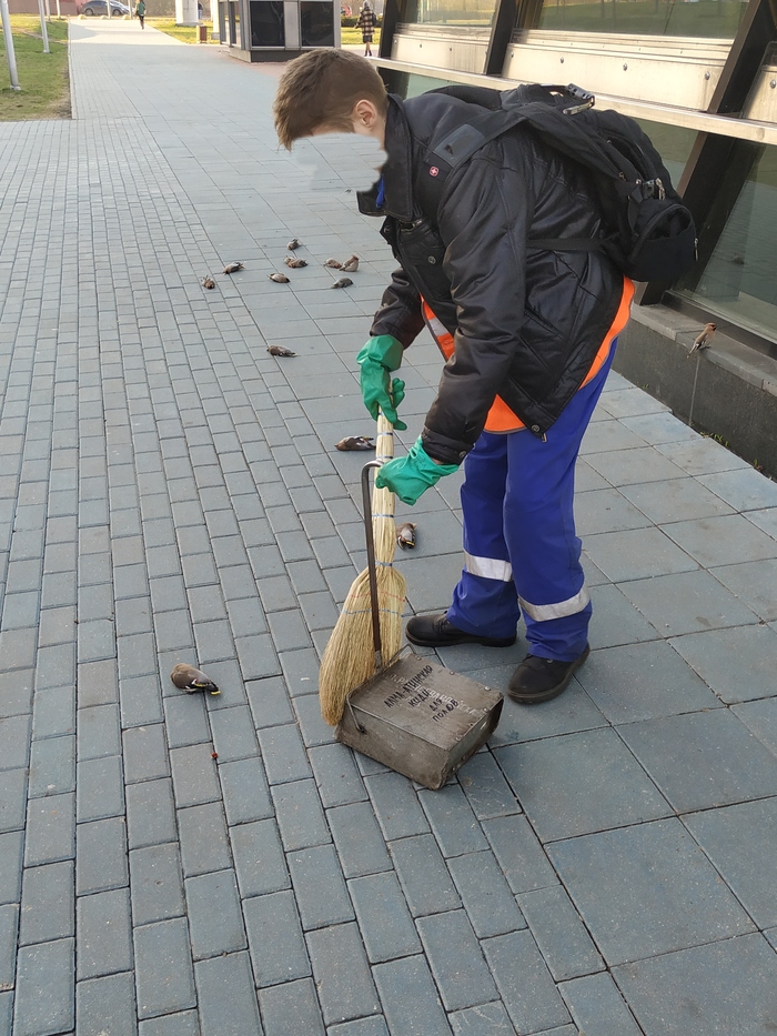 1555004320186466788 можно ли ловить лесных птиц