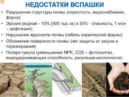 I want to quit the construction industry and work in agriculture: - My, Сельское хозяйство, Работа мечты, Gardening, Agriculture, Longpost