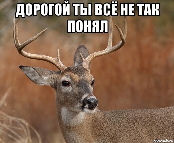 Not realized... - Omsk, Drunk, , Not realized, Curiosity, Изнасилование