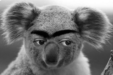 ����� �����