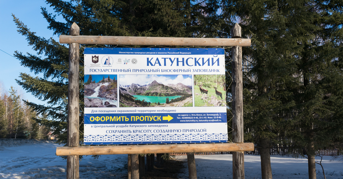 Госинспектор Катунский заповедник