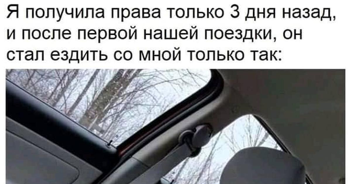 Возьму удалю. Получила права картинки прикольные. Когда получила права приколы картинки. Когда только получил права. Картинки я получила права прикольные.