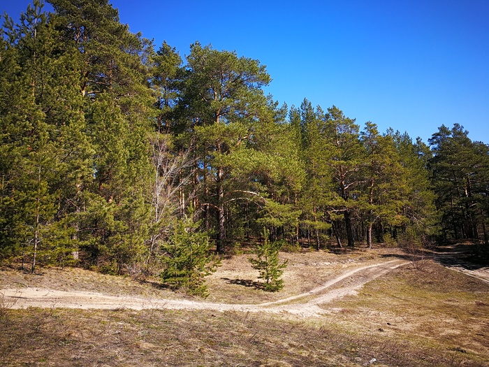 photo ride - My, Mobile photography, The photo, Nature, Huawei mate 9, Longpost, Dzerzhinsk, Video