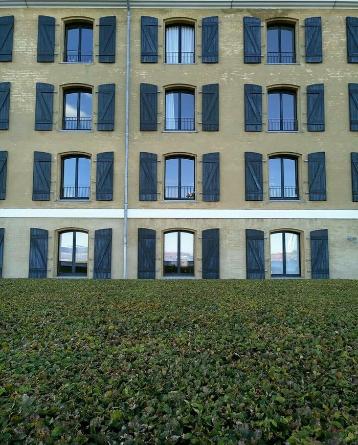 Copenhagen. - Copenhagen, Denmark, Symmetry, Architecture, The photo, Window