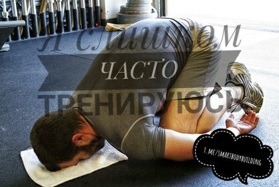 Equipoise �������� ���� ���������: ����.