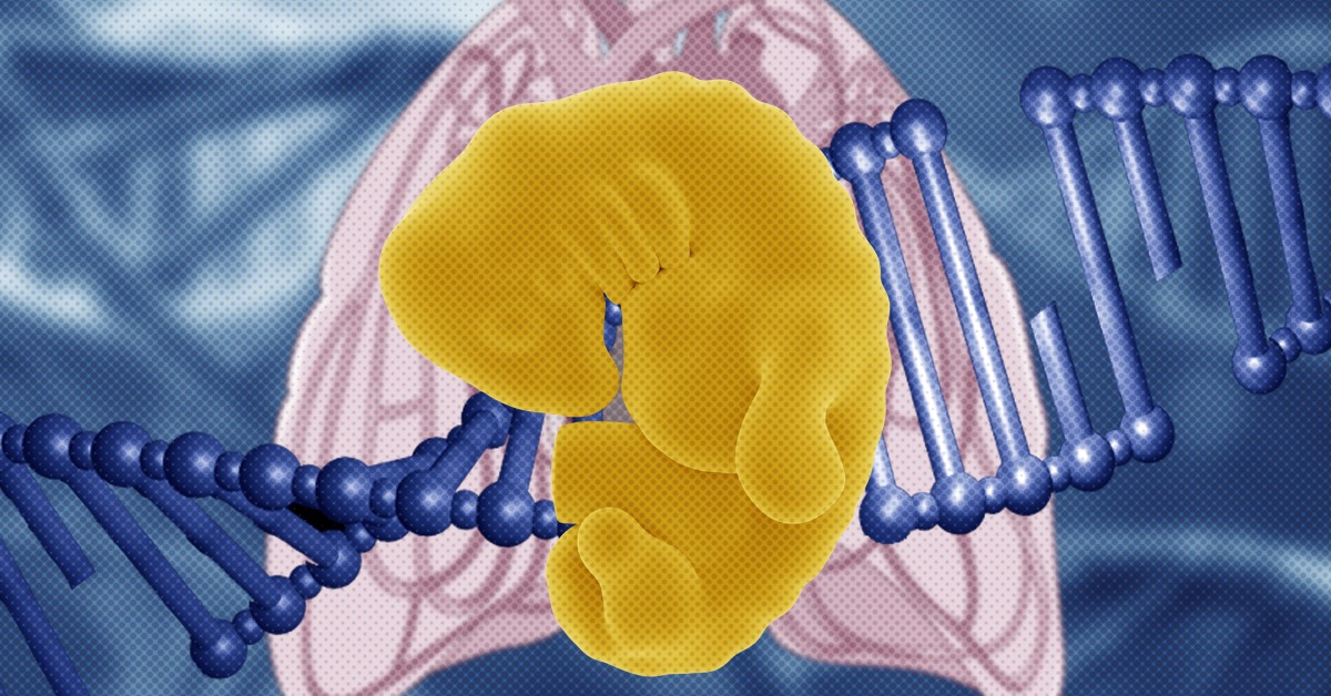 Генетика репродукции. Генетические ножницы CRISPR/cas9. Молекулярные ножницы CRISPR. Генная терапия это эмбрион. CRISPR эмбрион.