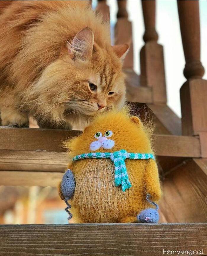 The customer evaluates the work - cat, Redheads, Knitted toys, Fluffy, Pets, Knitting