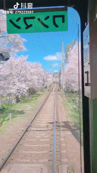 Поездка на поезде в Японии похожа на сцену из аниме