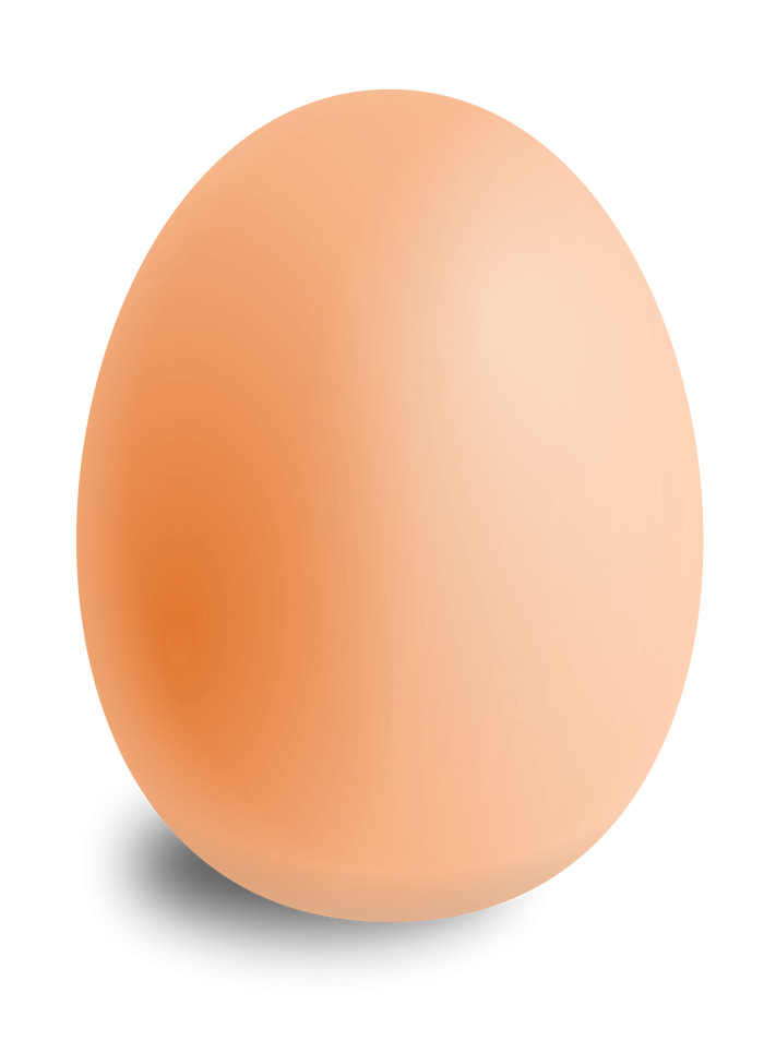 This is what a chicken egg looks like - Eggs, Egg