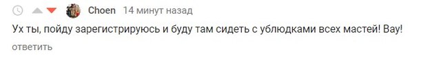 Раскол на Пикабу. Зачем люди прикидываются дурачками и делают вид что ничего не понимают.. - Моё, Конфликт, Длиннопост, Бунт, Мат, Видео