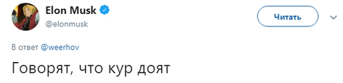 Говорят кур доят. Говорят что кур доят Илон Маск. Кур доят. Илон Маск курица Твиттер. Говорят в Москве курей доят.