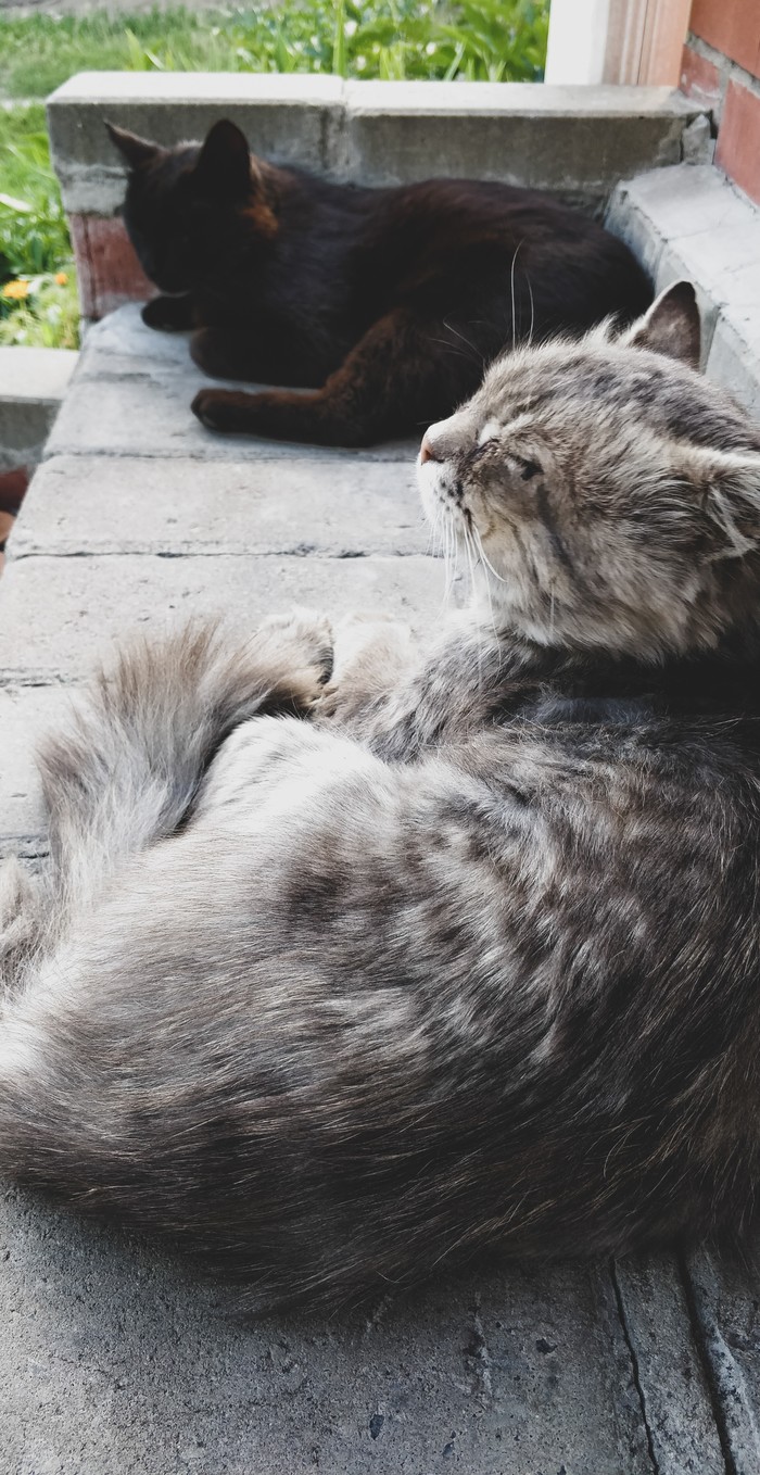 ������ ���� ������