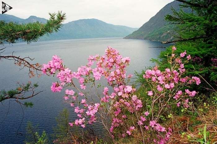 Mountain Altai - Mountain Altai, Relaxation, Karsota, Bliss, Joy, A life, Longpost, Altai Republic