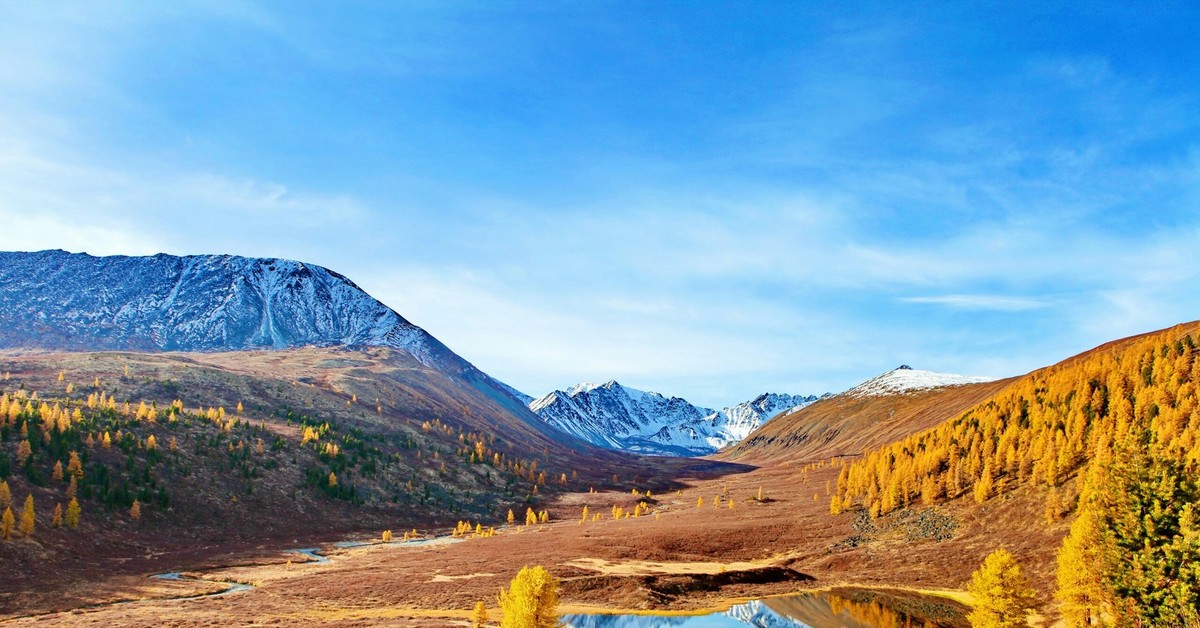 Алтай золотой край. Золотые горы Алтая природа. Алтайские горы в Монголии. Республика Алтай ландшафт. Золотые горы Алтая фото.