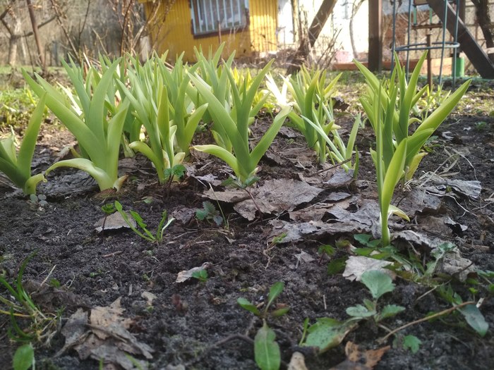 �������� �����