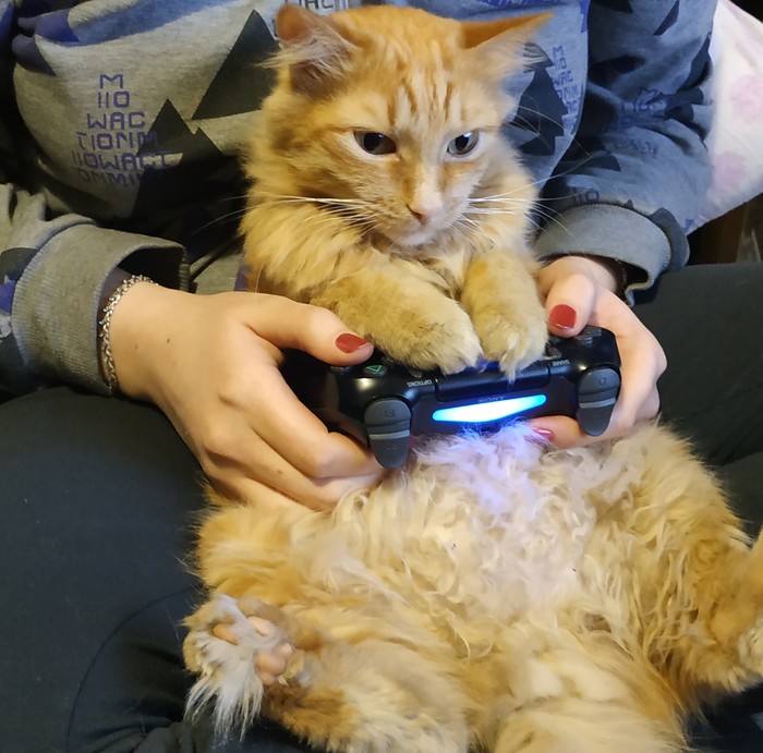 ������������� �������� ��� ����)