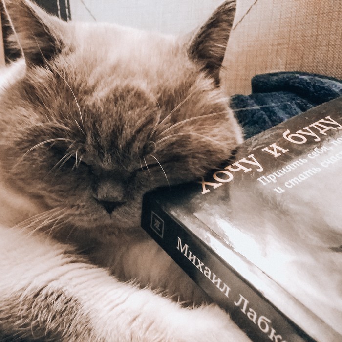 Хочу и буду!