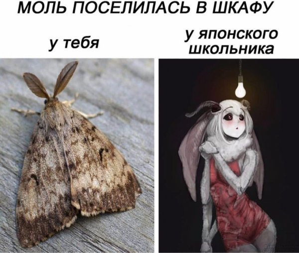 Мотылёк-тян | Пикабу