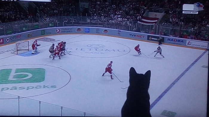 Пушистый болельщик=^-^=