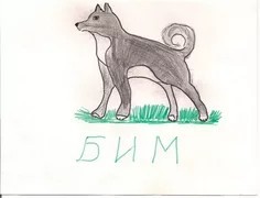 A dog named Bim - My, Real life story, Childhood memories, Dog