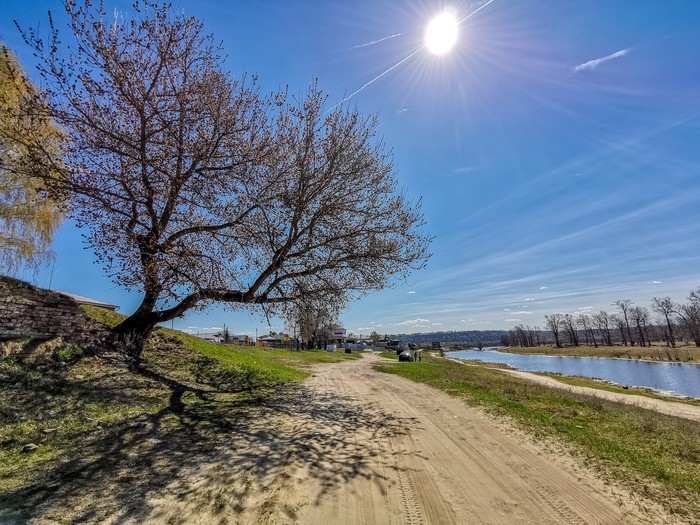 Serenity - My, Mobile photography, The photo, Spring, Tree, Huawei mate 20