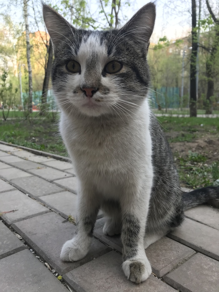 ÐоÑик в добÑÑе ÑÑки. ÐоÑ, Ðез ÑейÑинга, РдобÑÑе ÑÑки, ÐлиннопоÑÑ