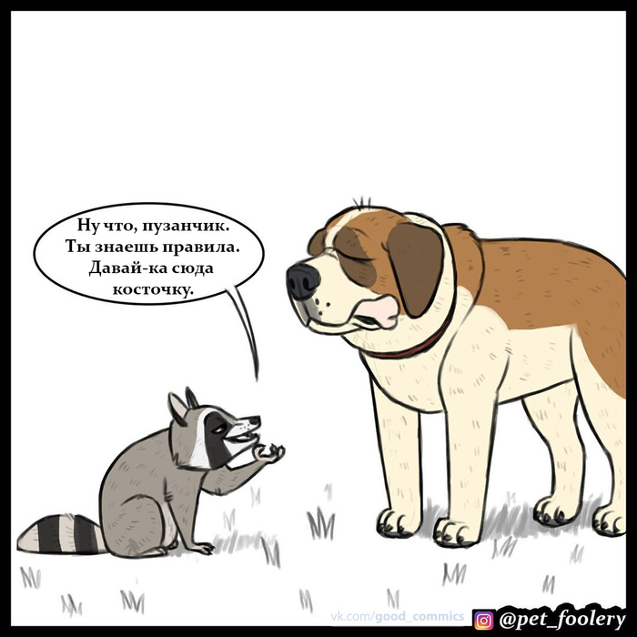  . Pet Foolery,   ,    ,  , , 