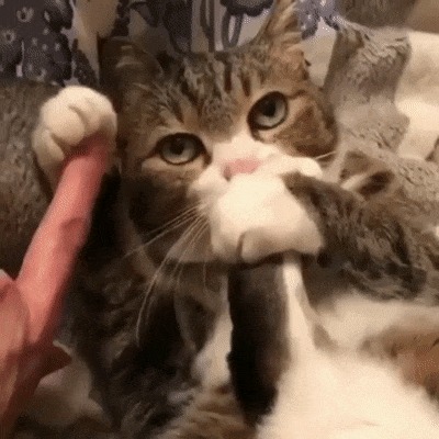 Омномном
