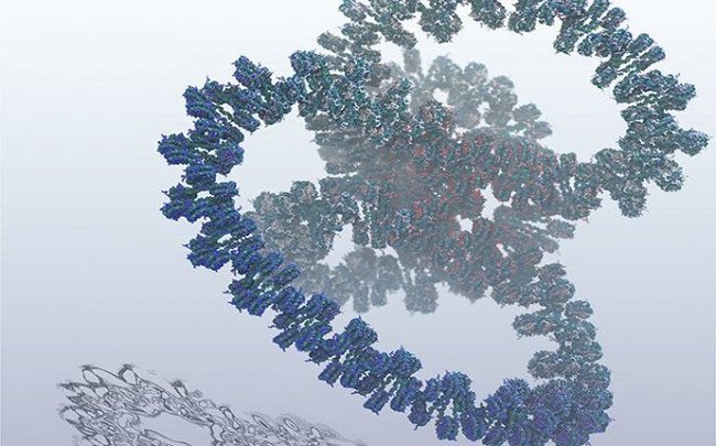 Scientists have created the world's first biomolecular model of the human genome - DNA, Genome, Person, The science, Computer, , , Video