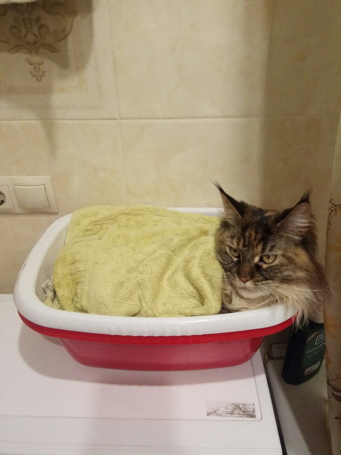 Сначала свежие
