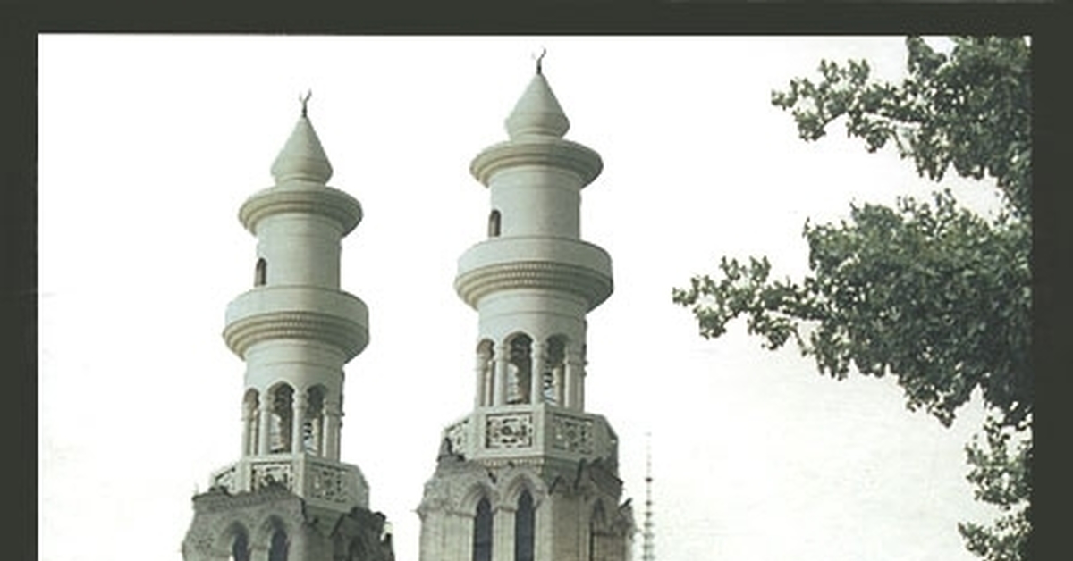 обложка елена чудинова мечеть парижской богоматери. парижская соборная мечеть. 2048 год. парижская соборная мечеть. франции мечеть мечети во франции.