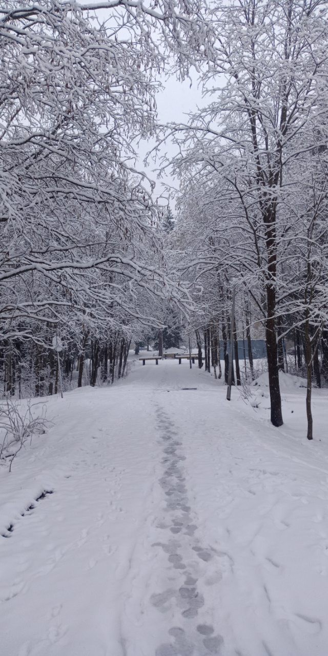 May second. Karelia. - My, Карелия, Winter, Weather, May, Longpost