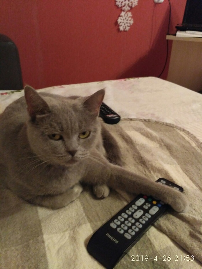 �� ����������, � ������