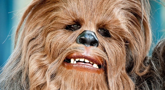 Peter Mayhew, who played Chewbacca in five Star Wars episodes, has died. - Chewbacca, Death, Disease, news, 