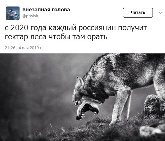I look forward to - 2020, Russia, Twitter