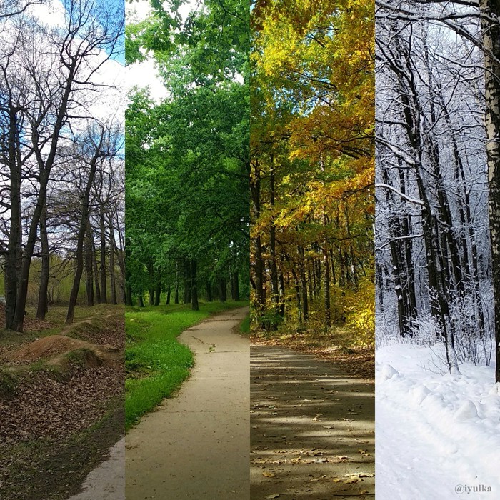One road, 4 seasons - My, Seasons, Nature, Road