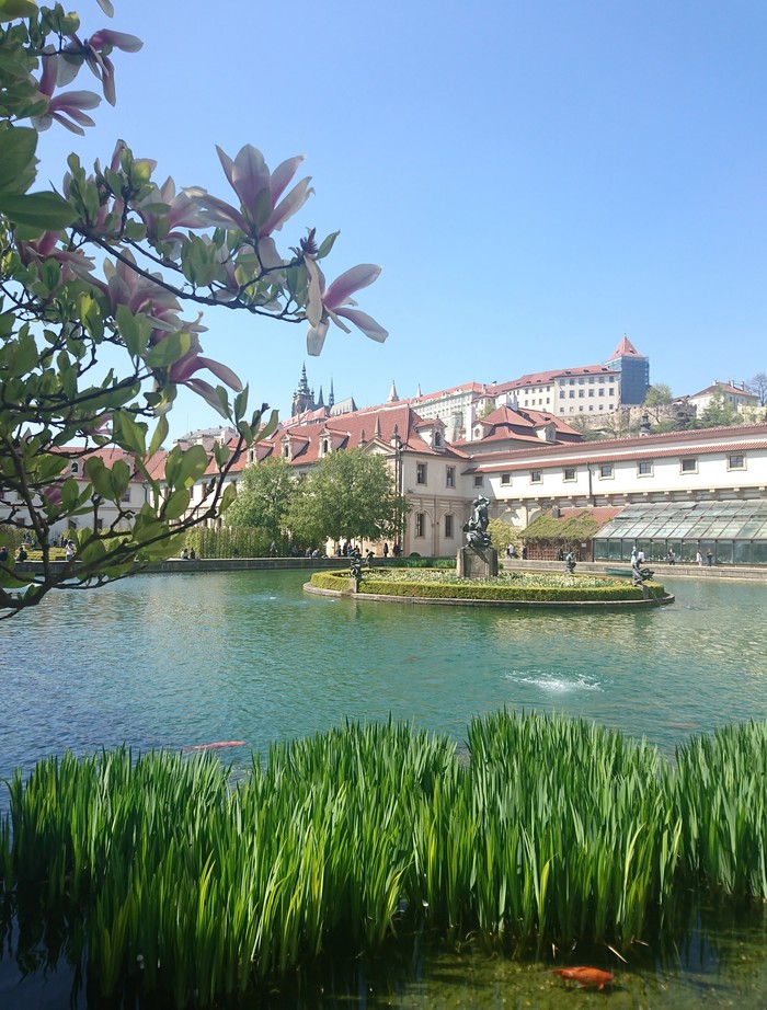 Blooming Prague - My, Prague, The park, Travels, Longpost