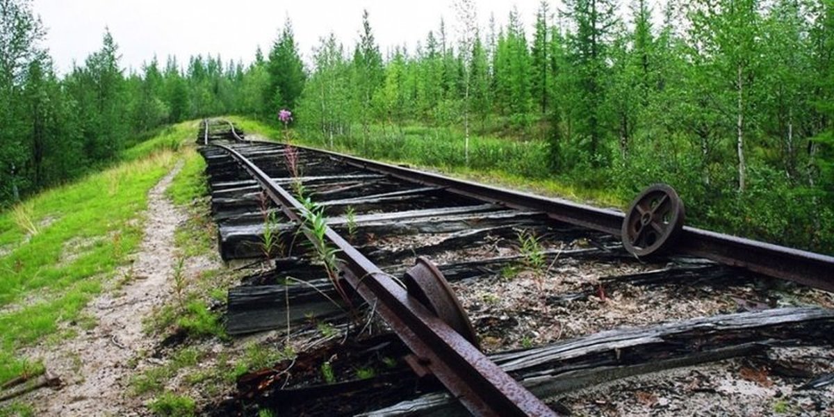 Сев ж. Стройка 501 Трансполярная магистраль. Трансполярная магистраль СССР. Трансполярная железная дорога. Трансполярная магистраль проект.