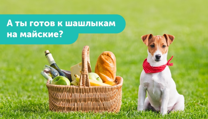 Как устроить нормальный пикник с шашлыками (и ничего не спалить) Длиннопост