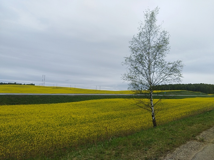 Nature - My, Republic of Belarus, Vitebsk, beauty of nature